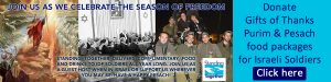 donate Purim and Passover food packages