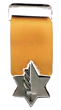 medal