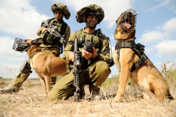 Check Out These 4-Legged Heroes Of The IDF! Move Over Scooby Doo!